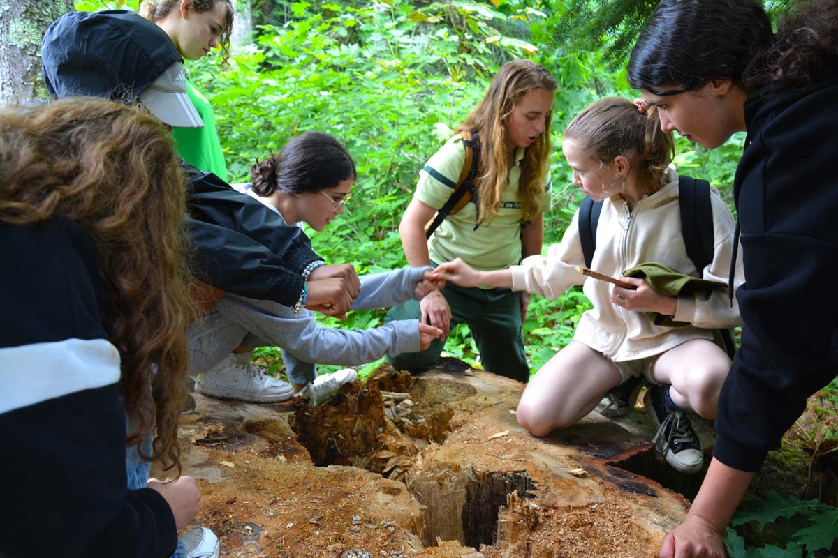 Des élèves du Campus La Salle Saint Christophe observe la faune et la flore en fôret